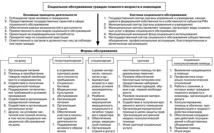 Принципы социального обслуживания эффективность и качество услуг в россии