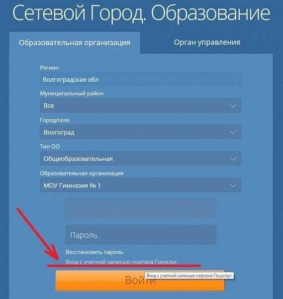 Сетевой город димитровград без госуслуг удобство и новые возможности